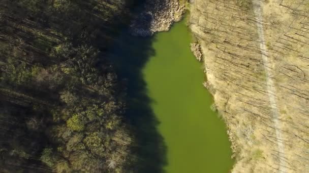 Drone Sobe Captura Água Verde Pacífica Lago Bela Reka Cercado — Vídeo de Stock