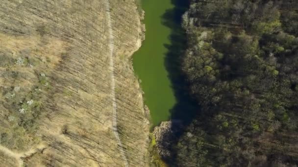 Vue Aérienne Des Bois Entourant Lac Bela Reka Des Maisons — Video