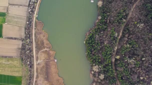 Вид Воздуха Озеро Mirosaljci Окруженный Лесами Культивируемых Полей — стоковое видео