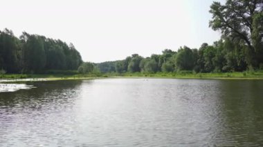Bulutlu bir günde yeşil ağaçlarla çevrili dalgalı su yüzeyi görüntüsü