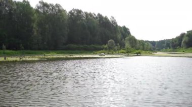 Gölün kenarında duran bir çift dilsiz kuğu tekneden izleniyor.