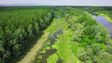 Göl, yukarıdan bakan ağaçlar ve çalılarla çevrili.