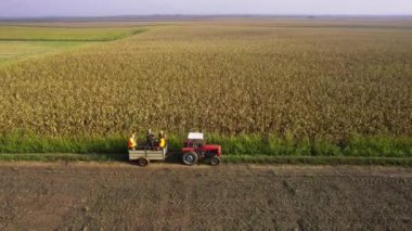 Drone tarladan geçen avcılarla dolu bir traktörü takip ediyor.