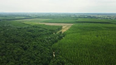 İnsansız hava aracı ekilmiş orman ve tarlaların üzerinden uzaktaki evlere doğru uçar.