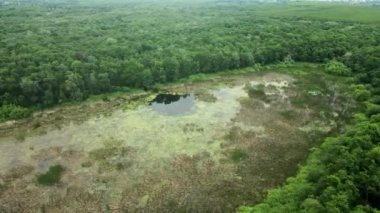 Uçsuz bucaksız ormanlarla çevrili bir su birikintisi.