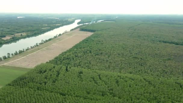 Drone Πετά Πάνω Από Δασική Περιοχή Κοντά Στο Ποτάμι — Αρχείο Βίντεο