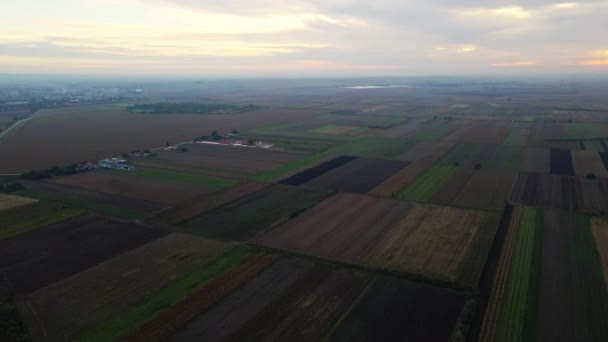 Drón Elfogja Naplementét Város Közelében Lévő Hatalmas Mezőgazdasági Területeken — Stock videók
