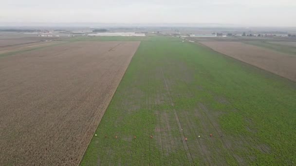 Drone Tiro Vastos Campos Agrícolas Perto Cidade Caçadores Caminhando Através — Vídeo de Stock