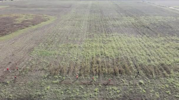 Drone Shot Group Hunters Holding Guns Walk Together Cultivated Field — Video