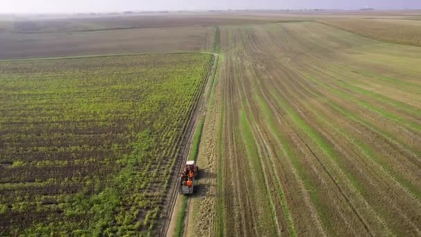 Drone Klättrar Upp Och Fångar Traktor Och Vidsträckt Jordbruksmark — Stockvideo