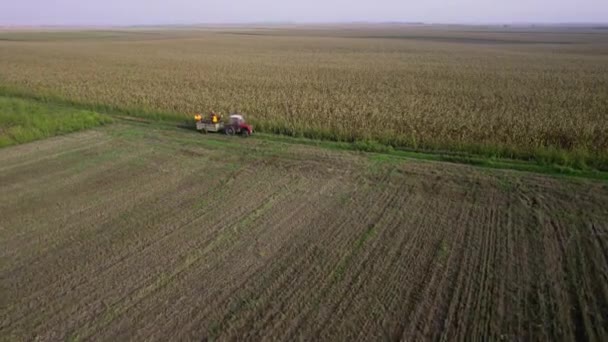 Drone Passes Tractor Trailer Full Hunters Fly Corn Field — Stock Video