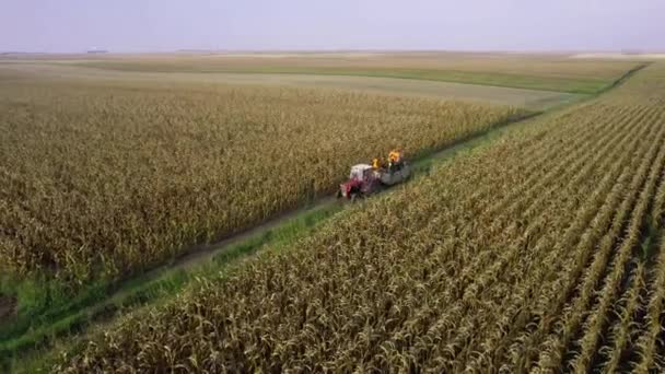 Drone Menangkap Traktor Dengan Trailer Dengan Laki Laki Dan Anjing — Stok Video