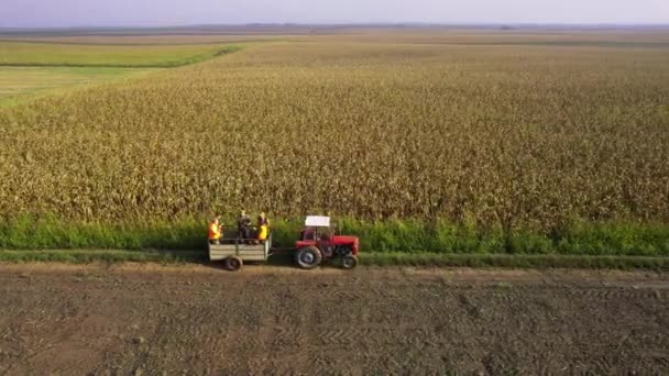 Drone Tarladan Geçen Avcılarla Dolu Bir Traktörü Takip Ediyor — Stok video