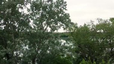 Drone ağaçların arkasından yükselir ve gökyüzünü yansıtan güzel gölü yakalar.