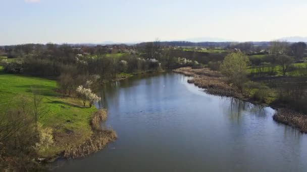 Champs verts et arbres entourant le lac bleu clair vus d'en haut