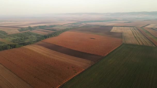 Vista Aérea Pitoresca Dos Campos Agrícolas Que Criam Retalhos — Vídeo de Stock