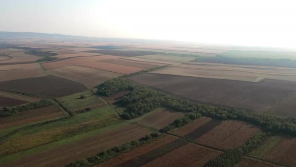 Végtelen Mezőgazdasági Területek Erdők Festői Légi Kilátása — Stock videók