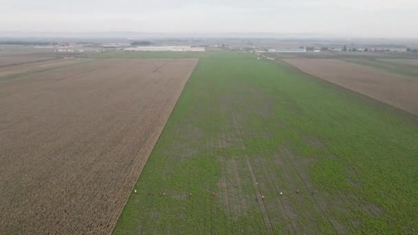 Dron Záběr Obrovských Zemědělských Polí Blízkosti Města Lovci Procházející Ním — Stock video