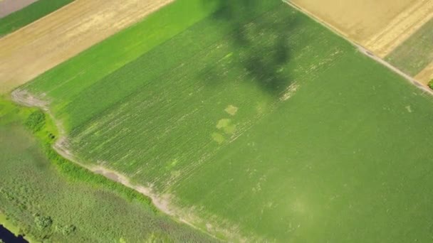 Terenuri Agricole Nesfârșite Care Creează Patchwork Uri Văzute Sus — Videoclip de stoc
