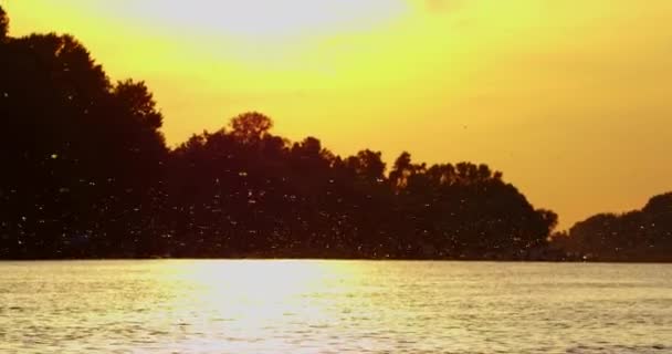 ボートから見た夕日には川の上に咲くティザ — ストック動画