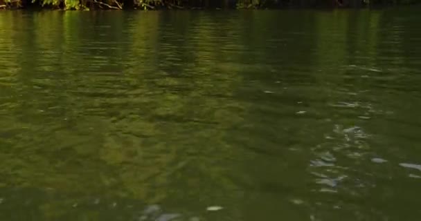 Images Éphémères Longue Queue Dessus Rivière Tisza Serbie — Video
