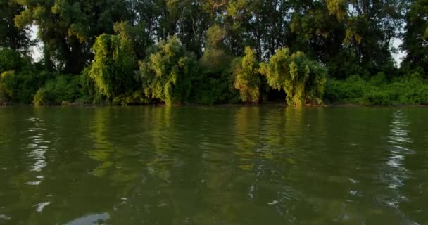 Γραφική Θέα Του Ποταμού Tisza Ενώ Μακριές Αλογόμυγες Συρρέουν Από — Αρχείο Βίντεο