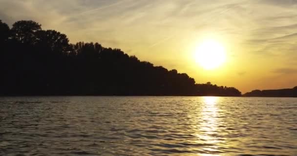 Ηλιοβασίλεμα Και Σμήνος Από Μακριές Αλογόμυγες Πάνω Από Τον Ποταμό — Αρχείο Βίντεο