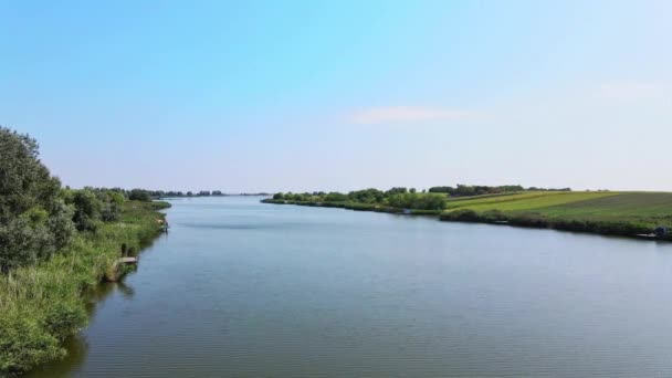 Parlak Mavi Gökyüzünün Altındaki Bir Sahilde Gölün Bitkilerin Güzel Yaz — Stok video