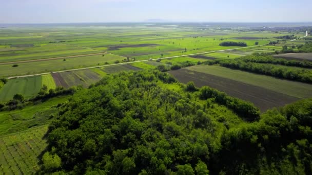 Вид Воздуха Зеленые Сельскохозяйственные Поля Создающие Лоскутное Покрытие Проезжающие Мимо — стоковое видео