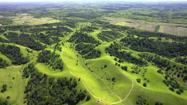 Drone Przechwytuje Wzgórza Ozdobione Bujną Zieloną Trawą Drewnem — Wideo stockowe
