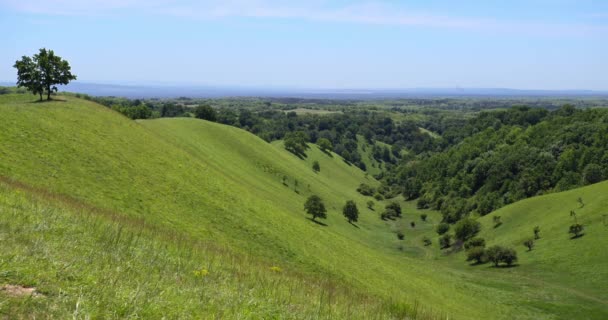 Colinas Rolantes Verdes Florestas Vale Dia Ensolarado Abaixo Céu Azul — Vídeo de Stock
