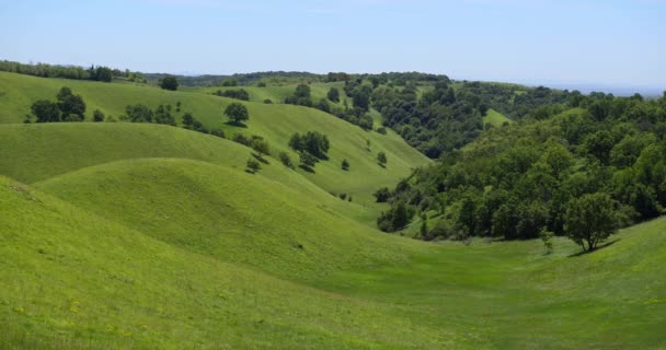 Natural Landscape Green Rolling Hills Woods Background — Stock Video