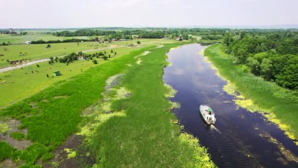 リードと森に囲まれた湖を横断するツアーボートの空中ビュー — ストック動画