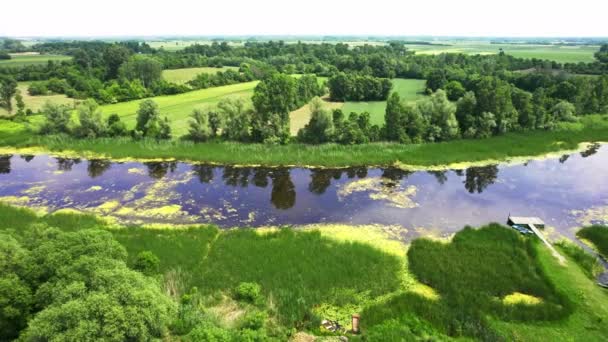 Schöne Naturaufnahmen Eines Flusses Umgeben Von Grünen Wiesen Und Wäldern — Stockvideo