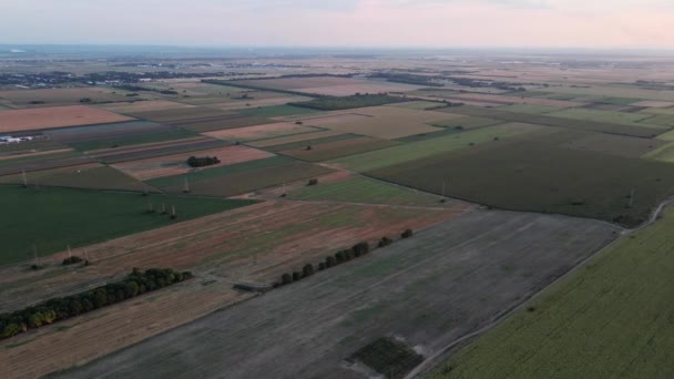 Légi Kilátás Mezőgazdasági Területek Közelében Zemun Belgrádban Szerbia Napkeltekor — Stock videók