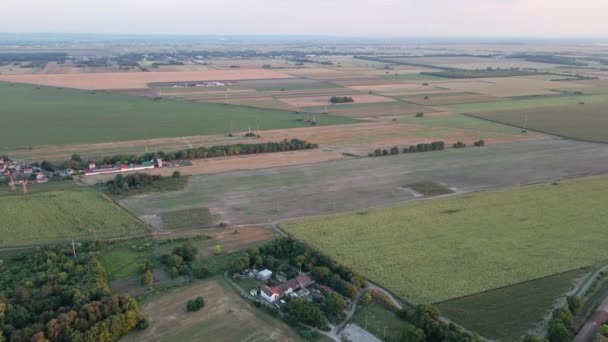 Drone Flygning Över Jordbruksfält Nära Zemun Belgrad Serbien Soluppgången — Stockvideo