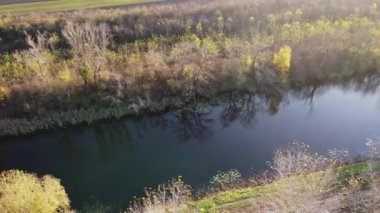 Kırsal kesimdeki küçük bir nehri çevreleyen sonbahar ağaçları ve çalıların insansız hava aracı görüntüleri.