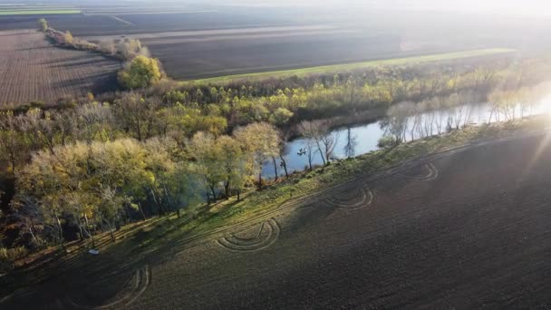 Drone Fångar Solljus Flod Omgiven Träd Och Fält — Stockvideo