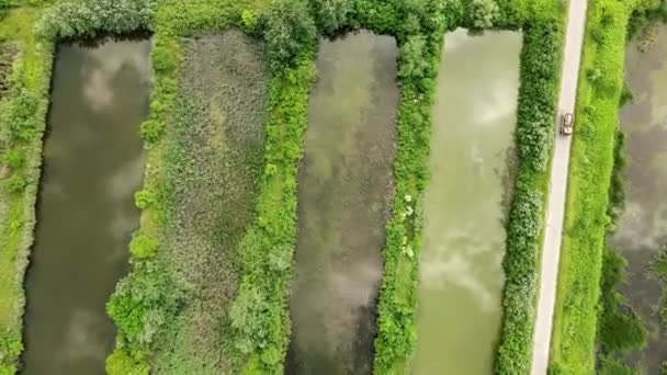 Drone Cattura Laghetti Rettangolari Pesci Circondati Vegetazione Verde Strada — Video Stock