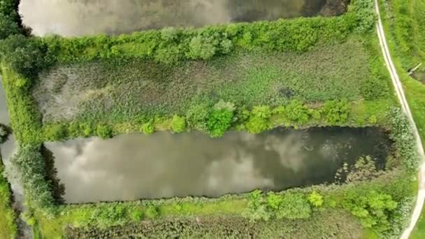 Vista Aérea Estanques Peces Rectangulares Rodeados Vegetación Verde — Vídeos de Stock