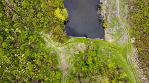 Drone Vlucht Boven Het Calma Meer Servië Omgeven Door Groene — Stockvideo