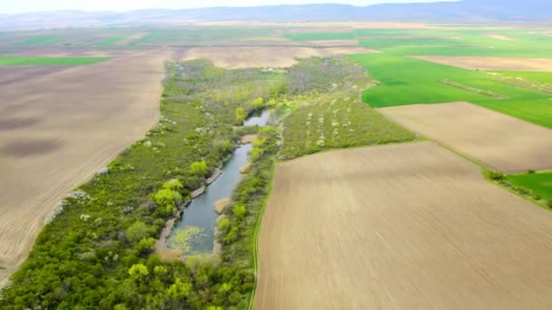 Drone Survole Lac Calma Serbie Entouré Verdure Milieu Champs Cultivés — Video