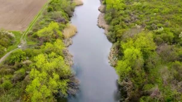 Дрон Захоплює Красиве Чисте Озеро Відображає Небо Розширює Прості Поля — стокове відео