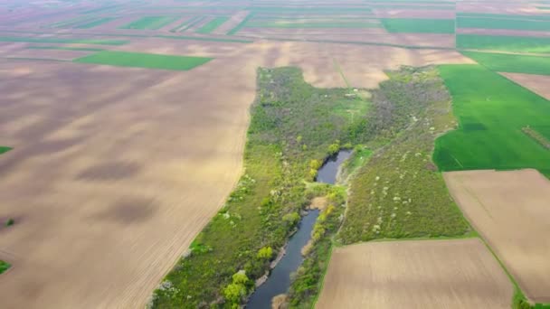 Vue Aérienne Vastes Champs Agricoles Plaine Avec Lac Entouré Végétation — Video