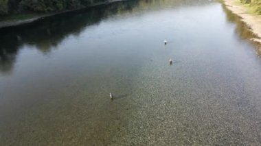Nehirde balıkçı teçhizatı taşıyan üç adamın hava manzarası