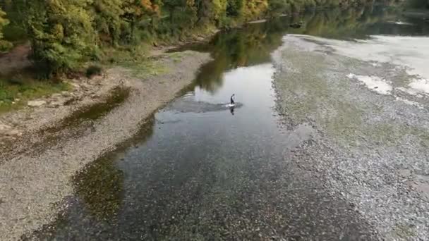 Man Crosses Water Deep Puddle Wilderness — Stock Video