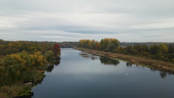 Drone Flyger Över Vattenytan Floden Omgiven Vegetation Hösten — Stockvideo