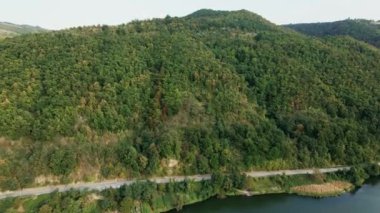 Sırbistan 'da Tuna Nehri kıyısındaki yeşil ağaçlık tepelerin hava manzarası