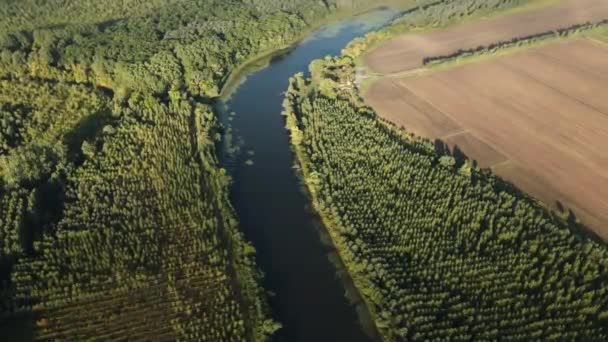 Drone Fångar Stor Jordbruksmark Nära Trång Sjö Kovilj Serbien — Stockvideo