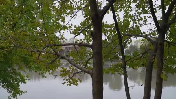 Grande Lago Visível Através Folhagem Verde Árvores Estreitas Uma Costa — Vídeo de Stock